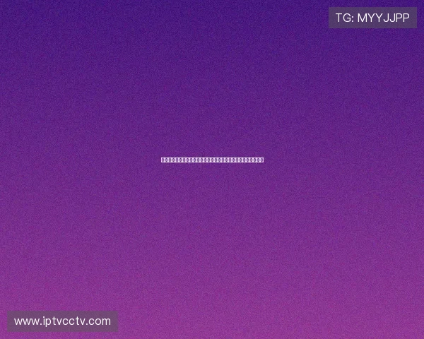 女子跨越千山万水参加闺蜜婚礼历尽艰险打破重重难关的动人故事