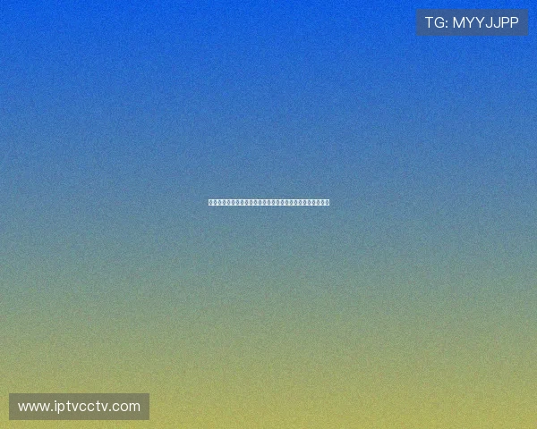 全国通办婚姻登记实现便民新突破累计办理超二十六万三千对 全国通办婚姻登记实现便民新突破累计办理超二十六万三千对