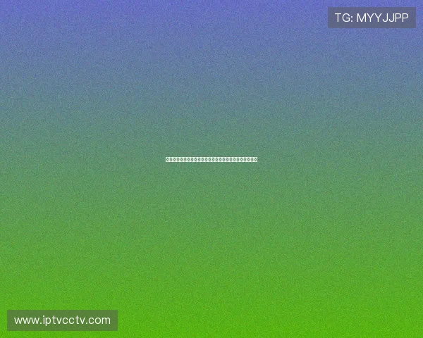 俄罗斯等八国达成重要共识推动全球经济合作与发展新机遇