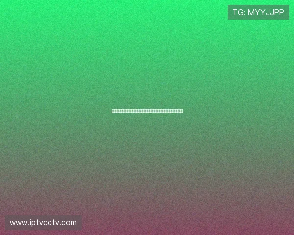 张雅茹凭《依依向北风》精湛演技获赞细腻刻画人物内心深处情感